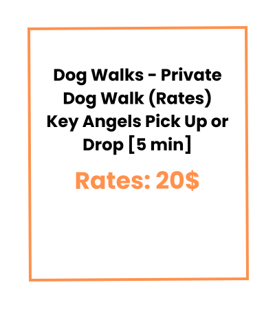 Dog Walks - Private Dog Walk (Rates) Key Angels Pick Up or Drop [5 min]