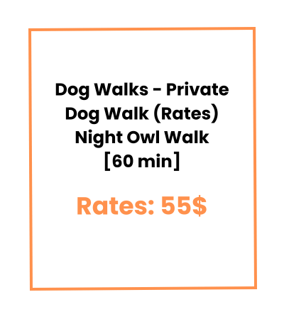 Dog Walks - Private Dog Walk (Rates) Night Owl Walk [60 min]