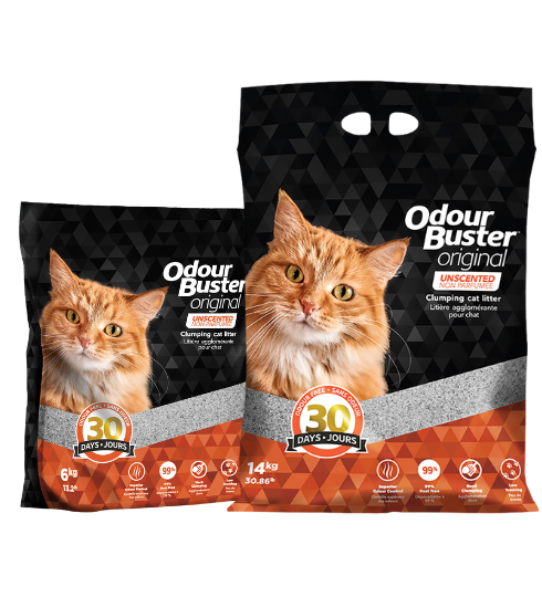 Litière pour chat Odor Buster Original Premium (non parfumée)