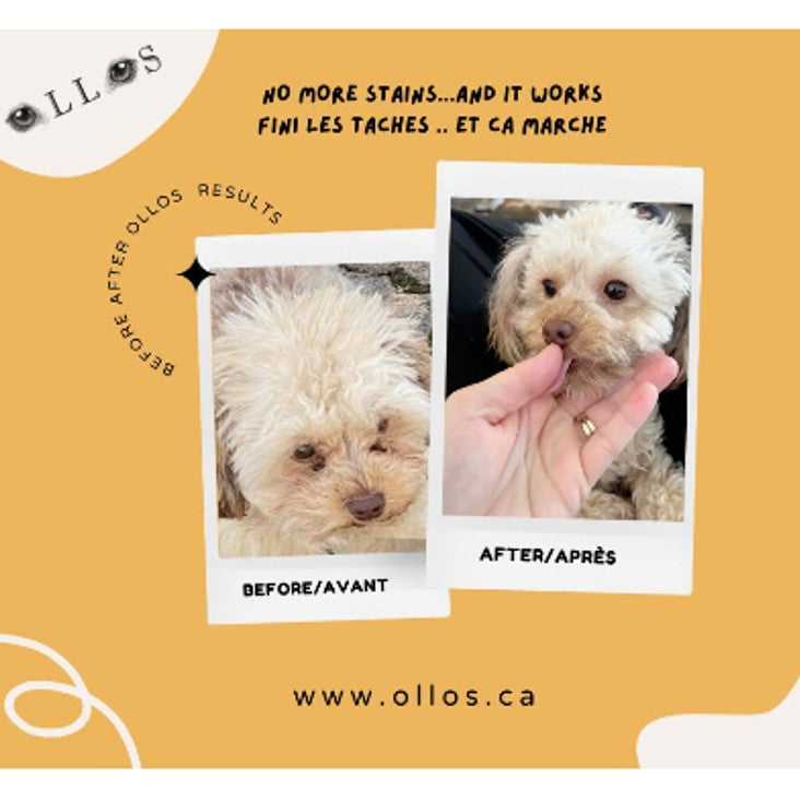 Ollos Stain Eyes Powder for Cats and Dogs