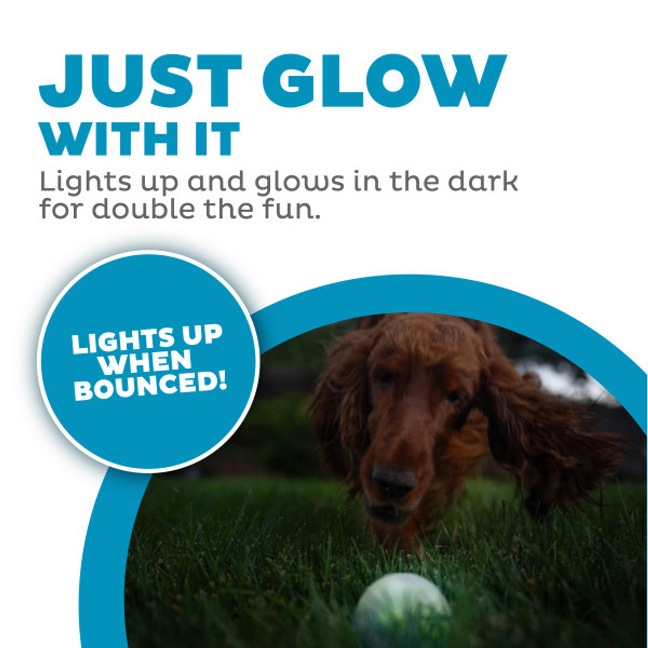 Orbee-Tuff LED Strobe Ball Dog Toy ( Glow )