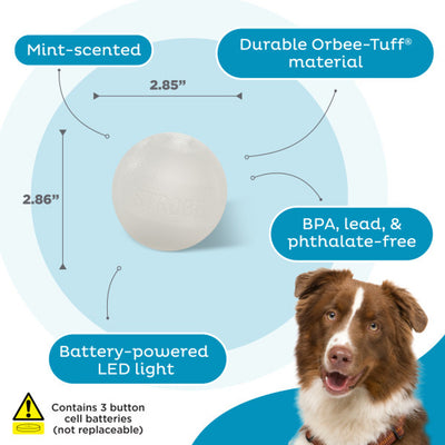 Orbee-Tuff LED Strobe Ball Dog Toy ( Glow )