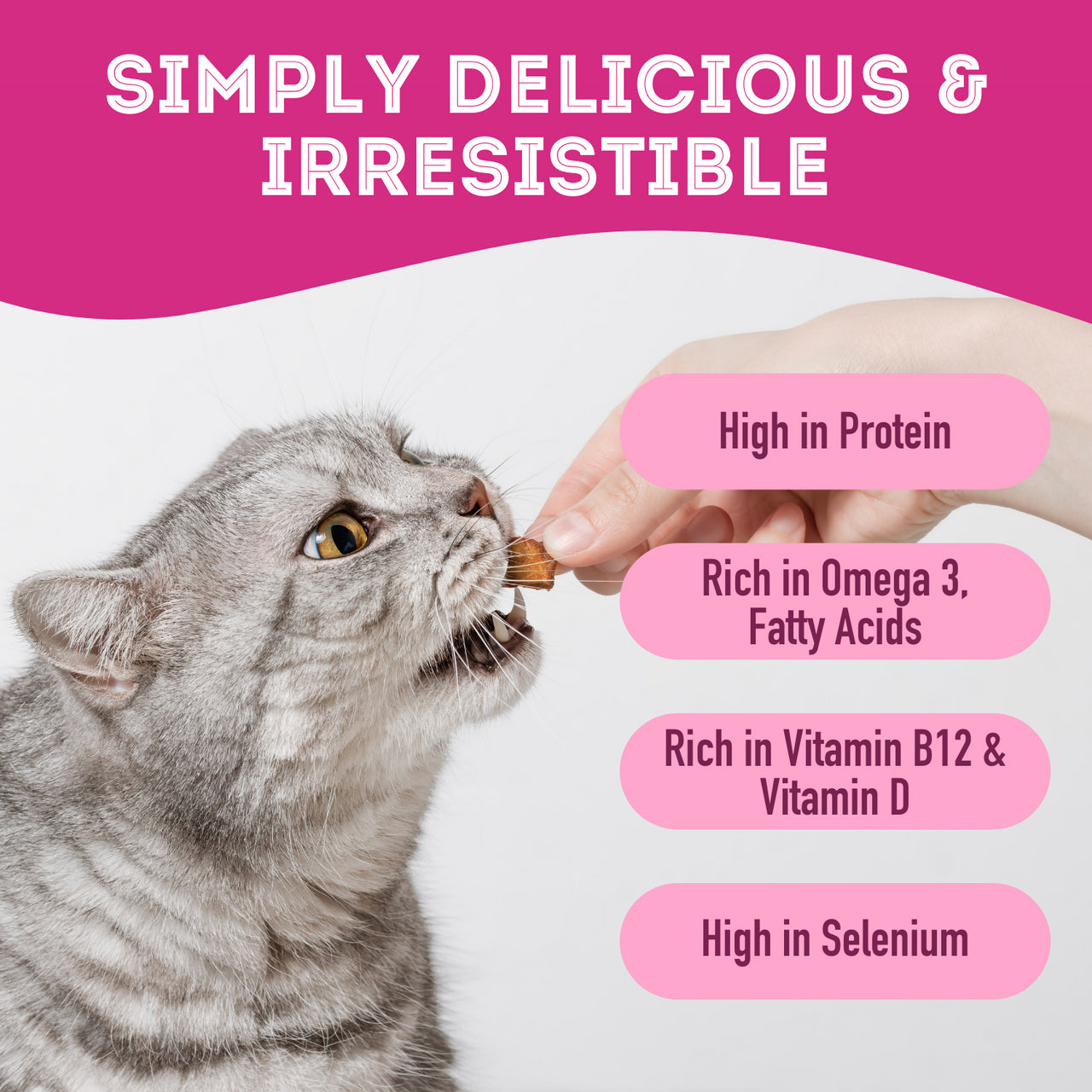 Pet Treatery Premium Dehydrated Salmon Treats for Dogs and Cats