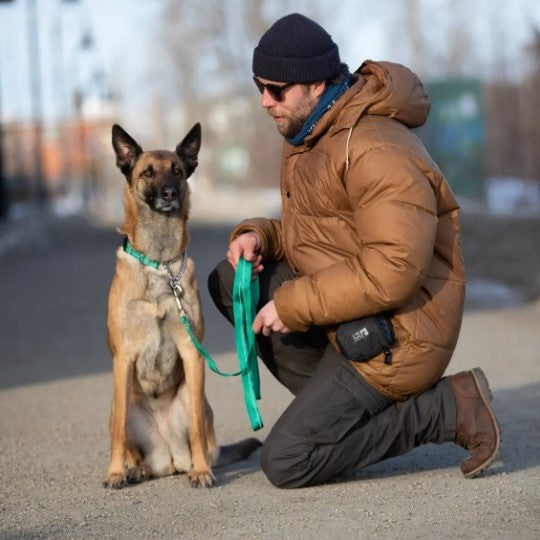 RC Pets Dog Leash