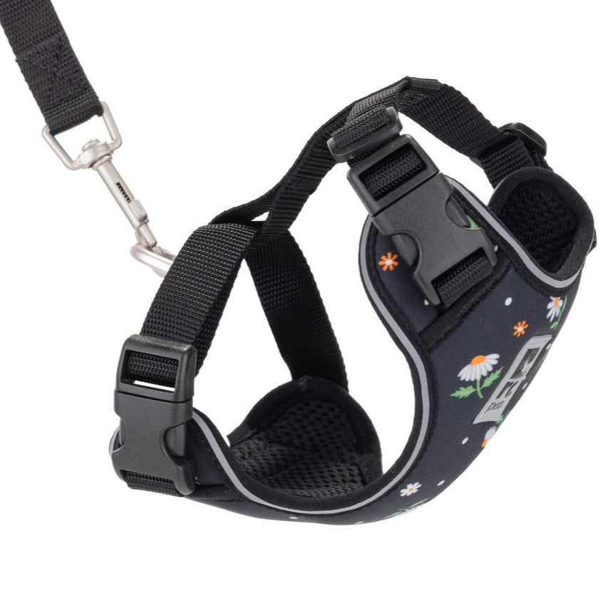 RC Pets Adventure Kitty Harness