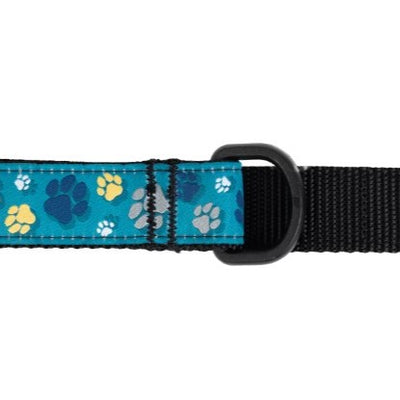 RC Pets Dog Leash