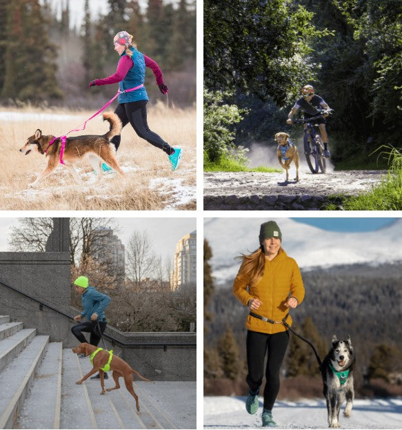 Harnais de contrôle de l'élan RC Pets