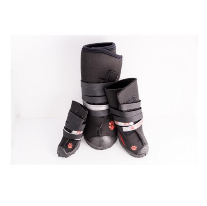 Dog medical boot best sale