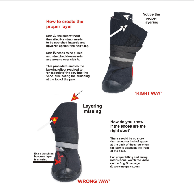 How to put on Neo Paws - Regular Performance Neoprene Dog Boots (2 pack)