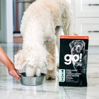 PETCUREAN GO! Skin + Coat Care: Turkey Recipe with Grains for Dogs