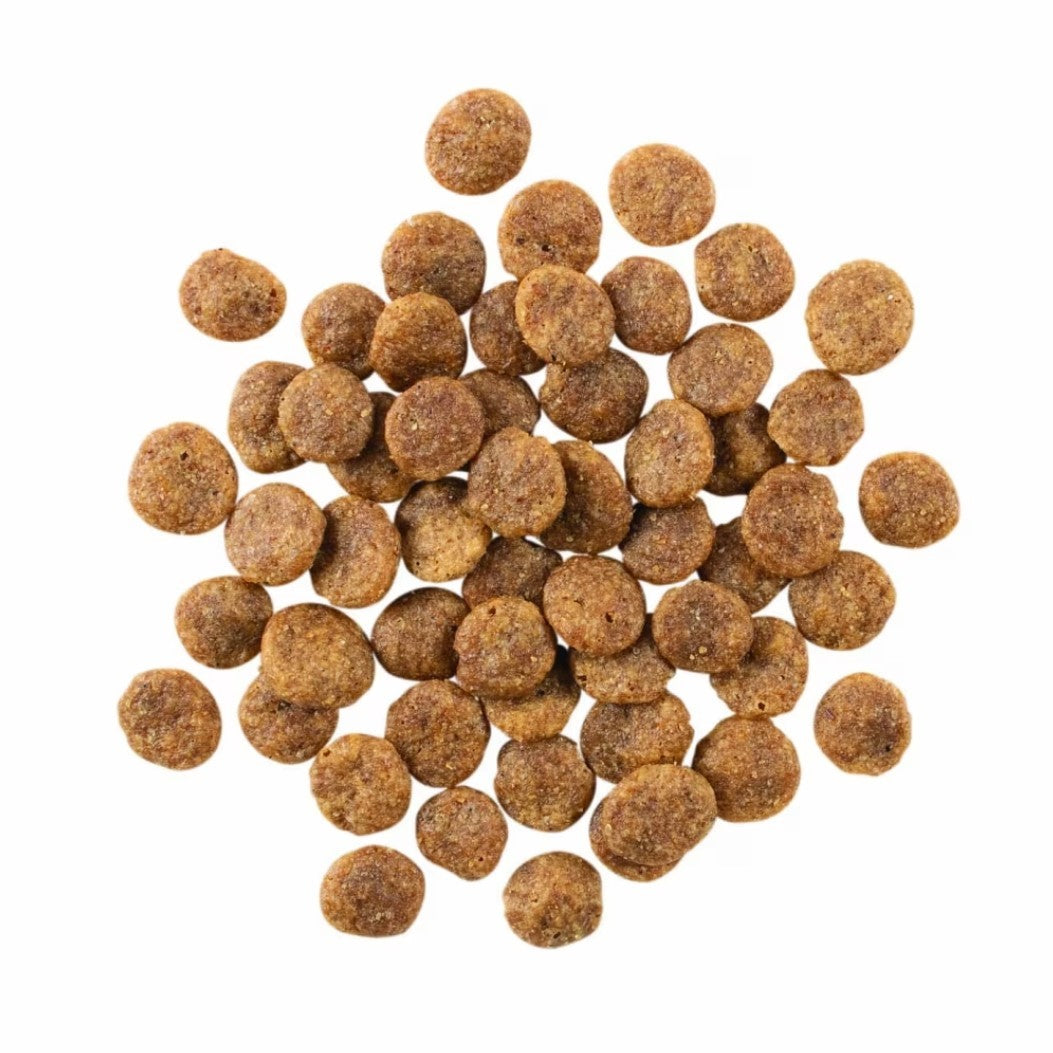 PETCUREAN GO! Sensitivities: Limited Grain-Free Venison for Dogs