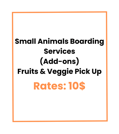 Small Animals Boarding Services (Add-ons) Fruits & Veggie Pick Up