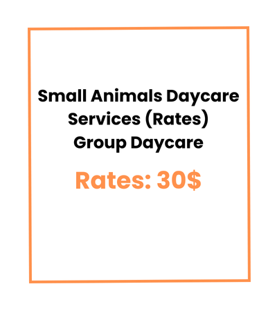 Small Animals Daycare Services (Rates) Group Daycare