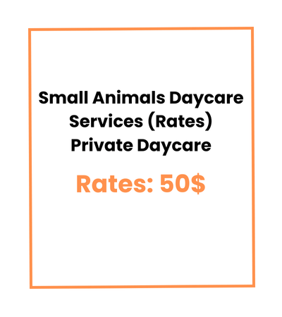 Small Animals Daycare Services (Rates) Private Daycare