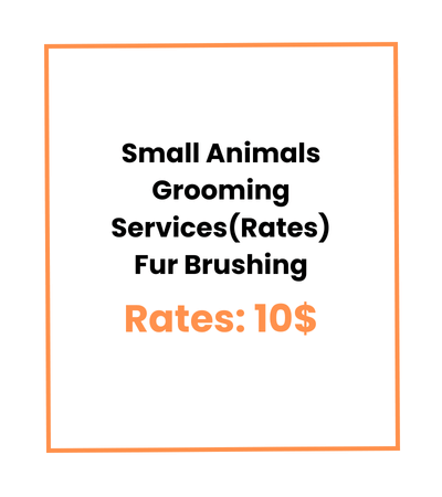 Small Animals Grooming Services (Rates) Fur Brushing