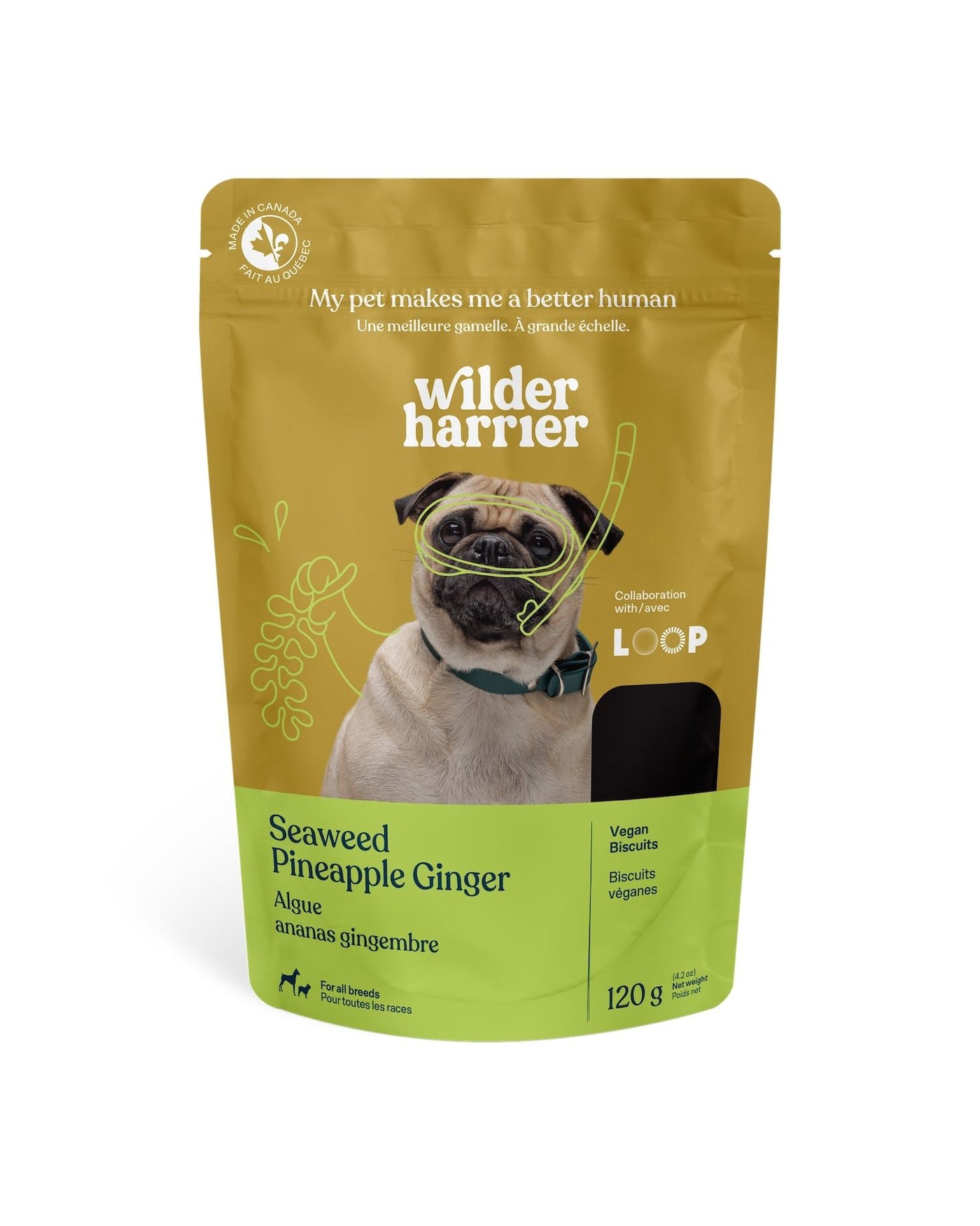 Wilder Harrier Dog Treats: Seaweed, Pineapple and Ginger (120g)