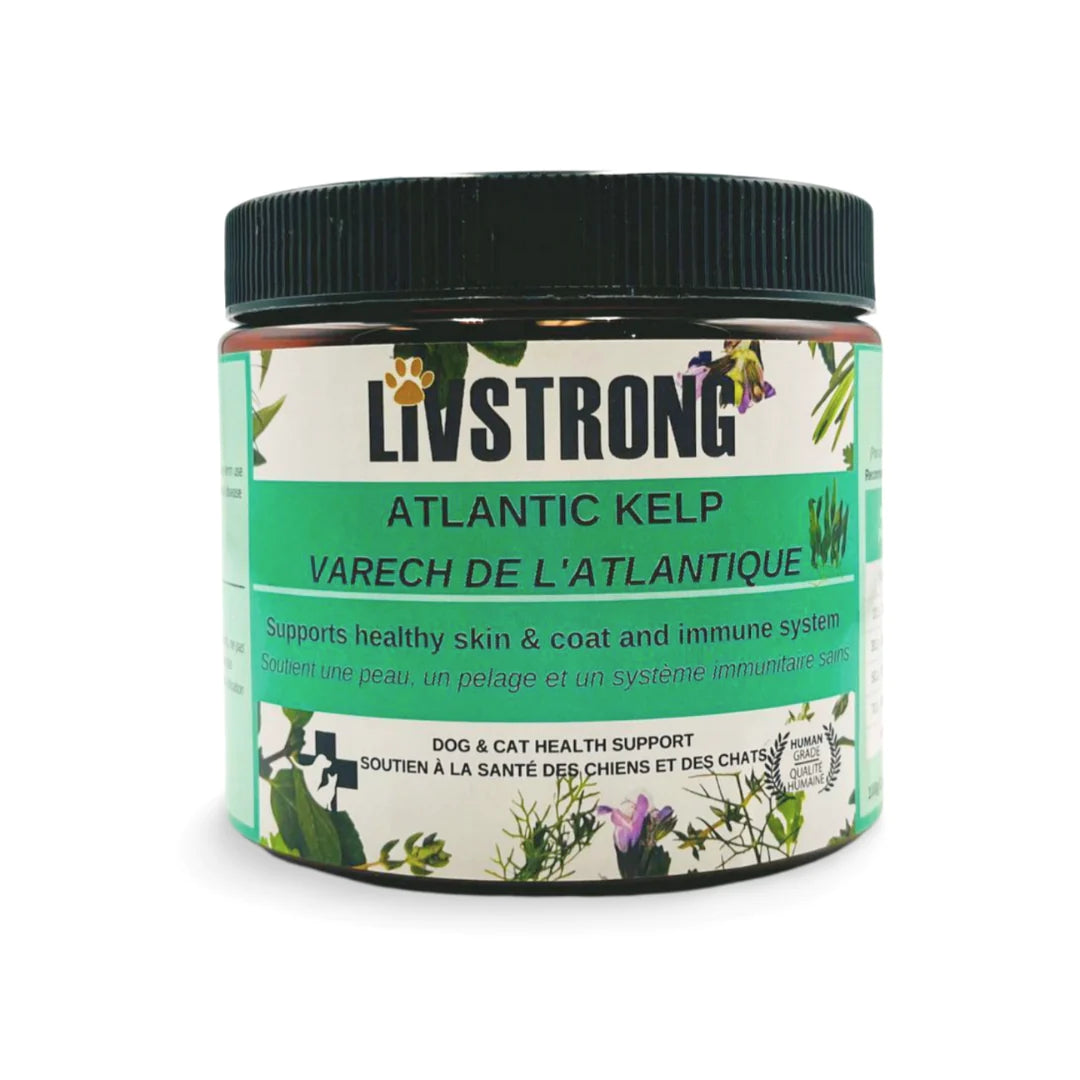 LIVSTRONG - Atlantic Kelp Health Support for Dogs and Cats