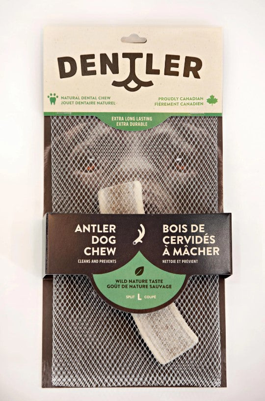 Bois de cerf à mâcher pour chien Dentler