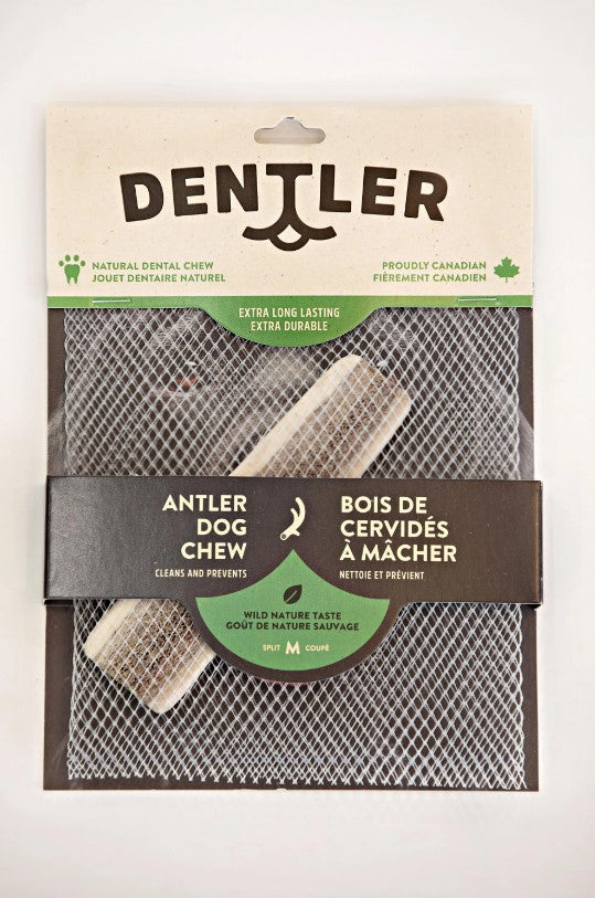 Bois de cerf à mâcher pour chien Dentler