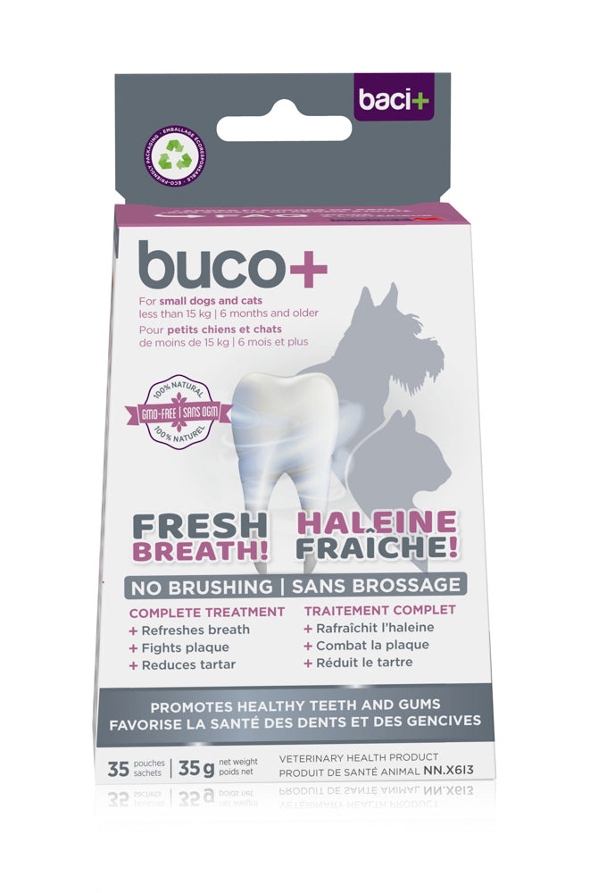 Buci+ Buco+ Oral Health